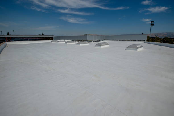 Best Gutter Installation and Repair  in Brown City, MI