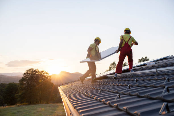 Best Roof Maintenance and Cleaning  in Brown City, MI